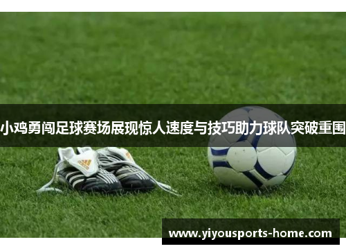 小鸡勇闯足球赛场展现惊人速度与技巧助力球队突破重围